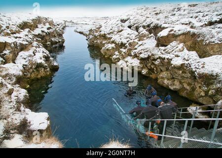 Silfra, Island-19. Feb 2020: Schnorchler bereiten sich auf das Eindringen in das Wasser am Silfra Rift vor, dem Ort, an dem sich eurasische und die amerikanische tektonische Platte befinden Stockfoto