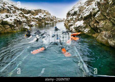 Silfra, Island-19. Feb 2020: Schnorchler bereiten sich auf das Eindringen in das Wasser am Silfra Rift vor, dem Ort, an dem sich eurasische und die amerikanische tektonische Platte befinden Stockfoto