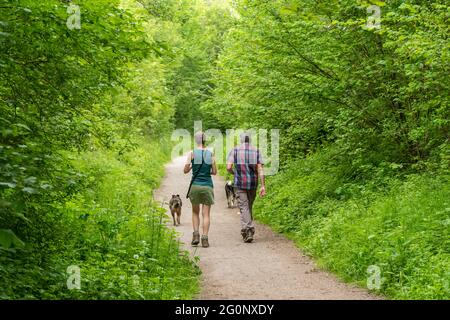 Wanderer wandern im Juni oder Sommer auf dem Meon Valley Trail in der Nähe von West Meon in Hampshire, England, Großbritannien. Stockfoto