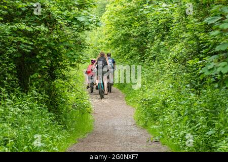 Familien radeln auf dem Meon Valley Trail in der Nähe von West Meon in Hampshire, England, im Juni oder Sommer. Stockfoto