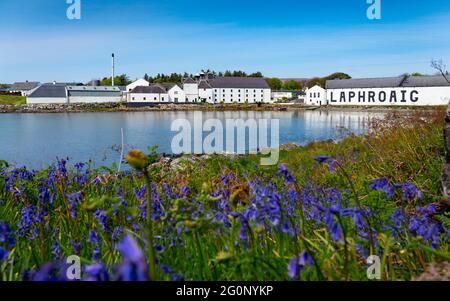 Außenansicht der Laphroaig Scotch Whisky Destillerie in Kildalton auf Islay , Inner Hebrides , Schottland, Großbritannien Stockfoto