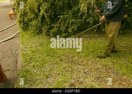 Sommerarbeit im Park. Der Gärtner schneidet das Gras. Ein Mann verwendet einen Rasentrimmer ohne Schutzabdeckung. Stockfoto