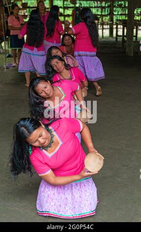 Indigene Frauen aus dem Amazonas-Regenwald, die einen Tanz in traditioneller Kleidung aufführen, yasuni-Nationalpark, Ecuador. Stockfoto