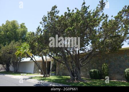 Santa Ana, Kalifornien, USA 1. Juni 2021 EINE allgemeine Sicht der Atmosphäre des Fairhaven Memorial Park am 1. Juni 2021 in Santa Ana, Kalifornien, USA. Foto von Barry King/Alamy Stockfoto Stockfoto