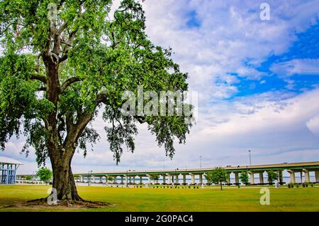 Die Biloxi Bay Bridge wird vom Point Cadet, 29. Mai 2021, in Biloxi, Mississippi, aus gesehen. Point Cadet verzeichnete seinen ersten dokumentierten Grundbesitzer im Jahr 1784. Stockfoto