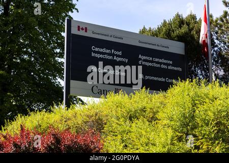 Ottawa, Ontario, Kanada - 31. Mai 2021: Ein Schild an den Bundesbehörden der kanadischen Lebensmittelinspektionsbehörde am Camelot Drive. Stockfoto