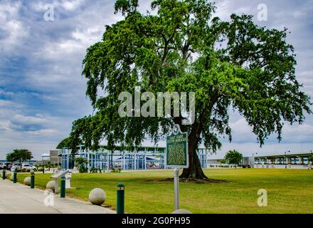 Point Cadet ist am 29. Mai 2021 in Biloxi, Mississippi, abgebildet. Point Cadet verzeichnete seinen ersten dokumentierten Grundbesitzer im Jahr 1784. Stockfoto