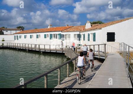 FRANKREICH, CHARENTE-MARITIME (17) ILE DE RE, LOIX, RADWEG Stockfoto