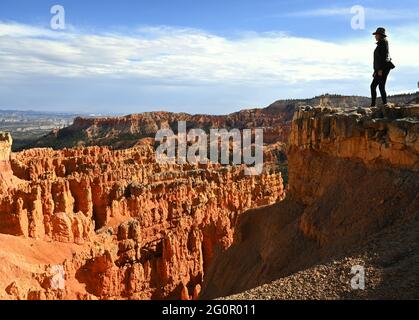 USA; NATIONALPARKS; BRYCE CANYON NATIONAL PARK, UTAH; BLICK VOM SUNRISE POINT; MODEL FREIGEGEBEN Stockfoto