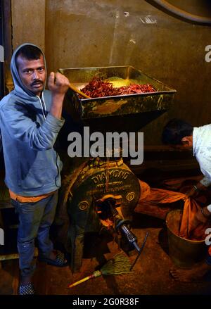 Rote Chilischoten auf dem Gewürzmarkt am Karwan Bazar in Dhaka, Bangladesch. Stockfoto