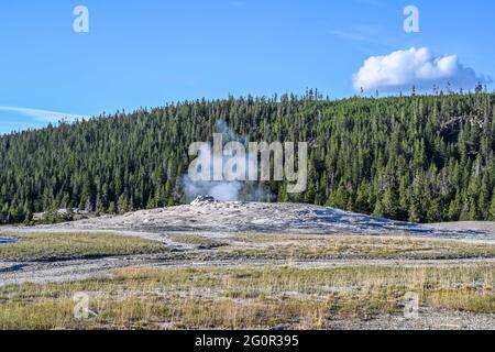 Die Mammoth Hot Springs, Yellowstone National Park, Wyoming Stockfoto