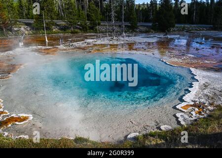 Die Silex Spring im Yellowstone National Park, Wyoming Stockfoto