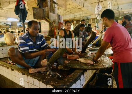 Ein Indoor-Fischmarkt auf dem Karwan Bazar Markt in Dhaka, Bangladesch. Stockfoto