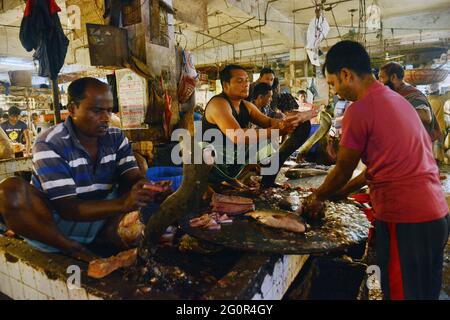 Ein Indoor-Fischmarkt auf dem Karwan Bazar Markt in Dhaka, Bangladesch. Stockfoto