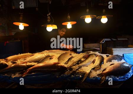 Ein Indoor-Fischmarkt auf dem Karwan Bazar Markt in Dhaka, Bangladesch. Stockfoto