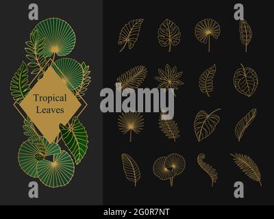 Set aus exotischen tropischen Blättern. Liniensymbole Stock Vektor