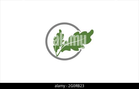Acorn Eiche Blatt Logo Illustration Vektor Symbol Design Illustration Stock Vektor