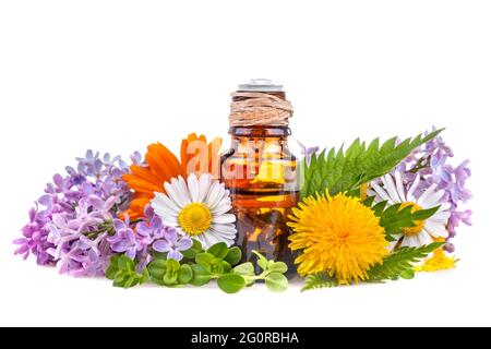 Kräuter und Blumen mit organisch aromatischem ätherischem Öl Stockfoto