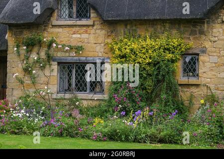 Honigfarbenes Cotswold-Steinhaus an der High Street, in der attraktiven Stadt Broadway, Cotswolds, Großbritannien; Blumengrenze im vorderen Garten. Stockfoto