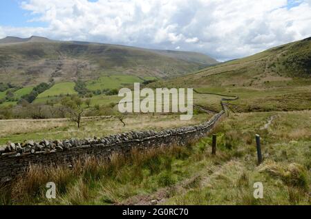 Wanderweg entlang einer walisischen Trockensteinmauer am Craig Cerrig Gleisiad Fan Frynych National Nature Reserve Brecon Beacons National Park Powys Wales Stockfoto