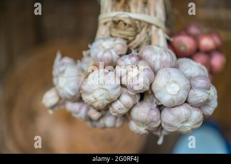 Ein Haufen hängender Knoblauchzehen auf dem Markt Stockfoto