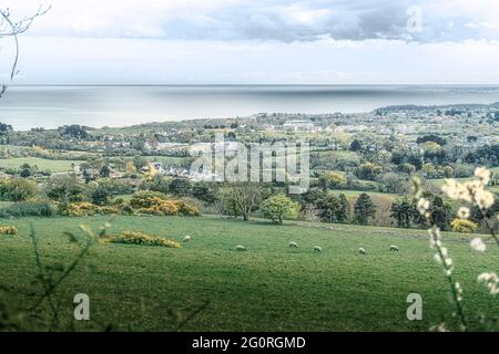 Irische Landschaft. Blick vom Tara Hill auf die Umgebung. County Wexford. Irland. Stockfoto