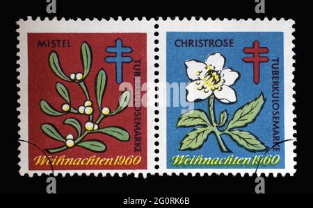 Briefmarke gedruckt in Deutschland mit Weihnachtsen tuberkulosemarke, um 1960 Stockfoto