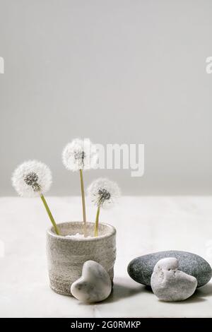 Stillleben mit blühenden flauschigen Dandelions-Blüten in handgefertigter Keramik Topf mit glatten Steinen auf weißem Marmor Hintergrund Leichtigkeit Reinheit Konzept Stockfoto