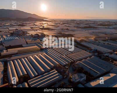 Luftaufnahme von endlosen Gewächshäusern bei Sunrise in Demre, Türkei Stockfoto