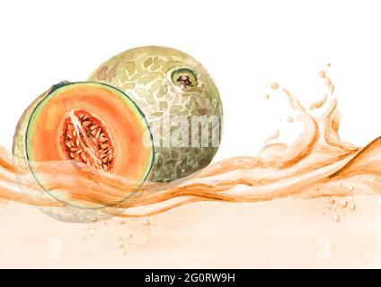 Frische Melone auf einer Saftwelle, Aquarell von Hand gezeichnet Stockfoto