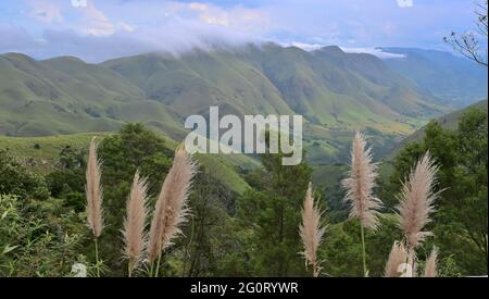 Der Geotrail Mkhonjwa ist Teil der Genesis Route zwischen Barberton und Swasiland in Mpumalanga, Südafrika Stockfoto