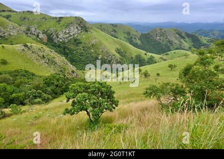 Der Geotrail Mkhonjwa ist Teil der Genesis Route zwischen Barberton und Swasiland in Mpumalanga, Südafrika Stockfoto