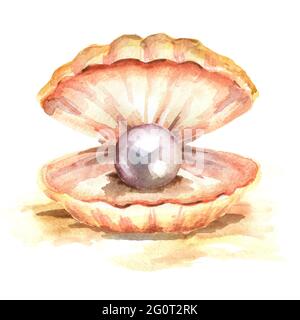 Perle in der Schale. Handgezeichnete Aquarellillustration, isoliert auf weißem Hintergrund Stockfoto