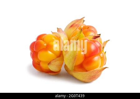 Drei reife Moltebeeren isoliert auf weißem Hintergrund Stockfoto
