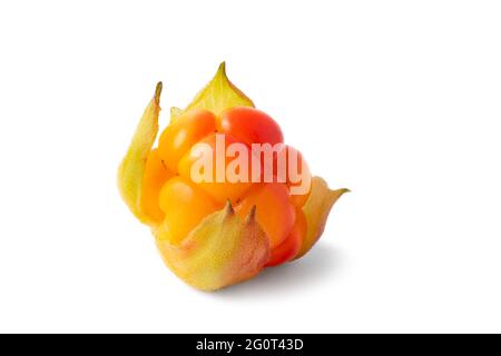 Eine frische reife Moltebeere isoliert auf weißem Hintergrund Stockfoto