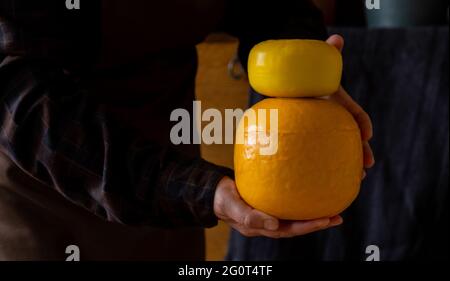 Die Hände halten den ganzen holland Cheese Edam und den niederländischen Ziegenkäse aus den Niederlanden Stockfoto