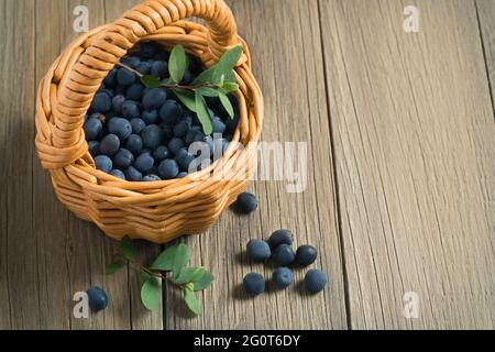 Waldbluebeeren in einem kleinen Korb auf einem Holztisch Stockfoto