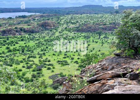 Der Nationalpark Mapungubwe ist ein Weltkulturerbe in Limpopo, Südafrika Stockfoto