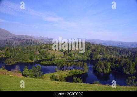Die wunderschöne und spektakuläre Landschaft des Tarn Hows Sees liegt inmitten der hervorragenden Fjälls der Seenplatte, die im Sonnenlicht eines frühen Sommermorgens gefangen sind. Stockfoto