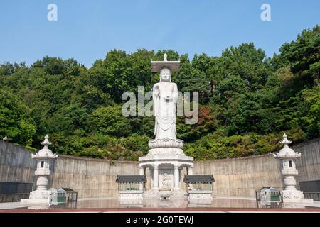 Buddha-Statue auf grünem Baumhintergrund im Bongeunsa-Tempel im Gangnam-Bezirk in Seoul, Südkorea. Es ist eine beliebte Touristenattraktion Asiens. Stockfoto