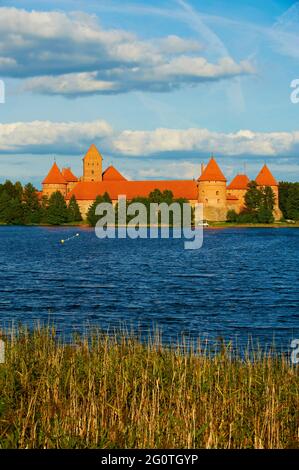 Litauen (Baltikum), Inselschloss Trakai bei Vilnius Stockfoto