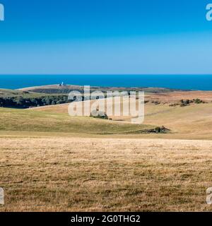 The South Downs, Sussex, England. Ein Blick über die sanften Hügel der South Downs und den Leuchtturm Belle Tout mit Blick auf den Ärmelkanal. Stockfoto