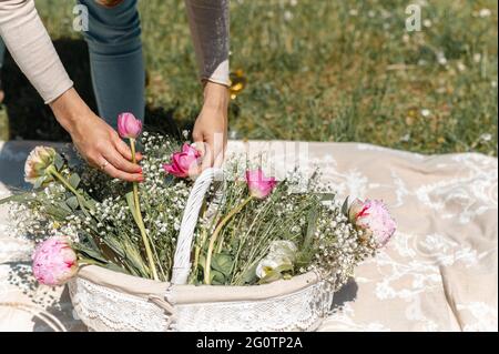 Nicht erkennbare Hände der Frau berühren und ordnen rosa Tulpen und wilde weiße Blumen in einen Korb auf einer Decke auf dem Gras verteilt. Stockfoto