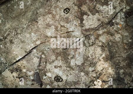 Die Struktur der Höhle oder felsigen Klippen sind schroff mit Vignette Hintergrund Stockfoto