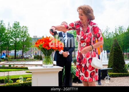 Apeldoorn, Niederlande. Juni 2021. Prinzessin Margriet von den Niederlanden im Palast het Loo in Apeldoorn, am 03. Juni 2021, taufig die offiziellen Invictus Games Den Haag 2020 Tulip, die invictus Games Den Haag 2020 wurden zweimal verschoben und wird jetzt vom 16. Bis 22. April 2022 stattfinden Quelle: Rotalpool/Wesley de Wit/ Albert Nieboer/Netherlands OUT/Point de Vue OUT/dpa/Alamy Live News Stockfoto