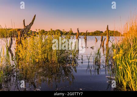 Ein Abend im Nationalpark De Alde Feanen, einem Nationalpark in der niederländischen Provinz Friesland. Die Alde Feanen ist auch ein Natura-2000-Gebiet. Stockfoto