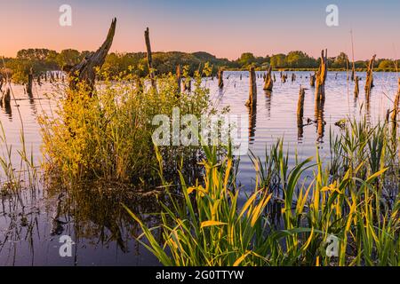 Ein Abend im Nationalpark De Alde Feanen, einem Nationalpark in der niederländischen Provinz Friesland. Die Alde Feanen ist auch ein Natura-2000-Gebiet. Stockfoto