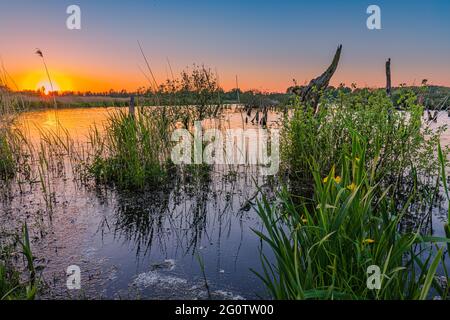 Ein Abend im Nationalpark De Alde Feanen, einem Nationalpark in der niederländischen Provinz Friesland. Die Alde Feanen ist auch ein Natura-2000-Gebiet. Stockfoto