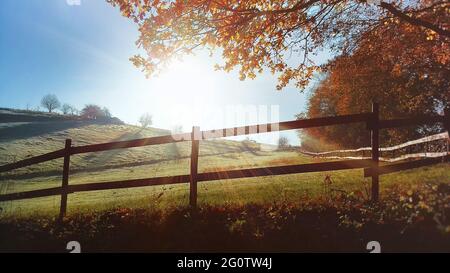 Eine verlassene, einsame Kuhweide an einem kalten Wintermorgen in Mühlheim an der Ruhr. Wiesen und Felder an einem sonnigen Wintertag. Stockfoto