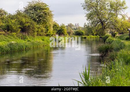 Angelschlag am Juninachmittag, River Test, Wherwell, Hampshire, Großbritannien. Stockfoto